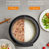 Panasonic Electric Pressure Cooker NF-PC400 | 4L