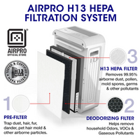 Panasonic F-ZXMP55Z HEPA with Carbon Filter Air Purifier